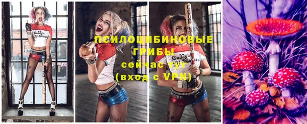 a pvp Майский