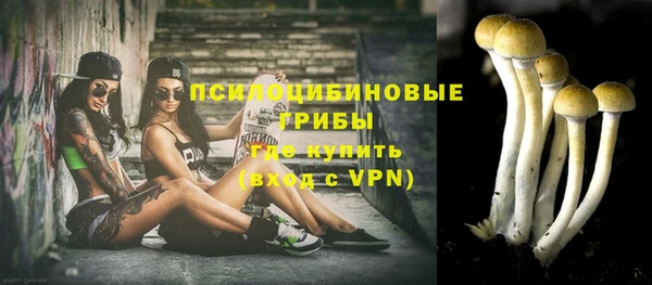 a pvp Майский