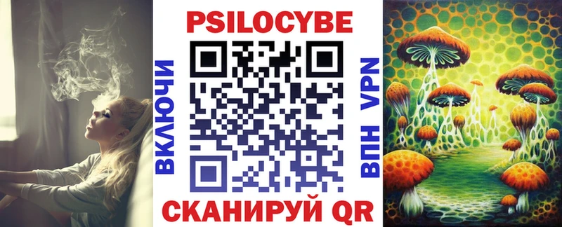 Псилоцибиновые грибы MAGIC MUSHROOMS  Купить закладки  Кудрово 
