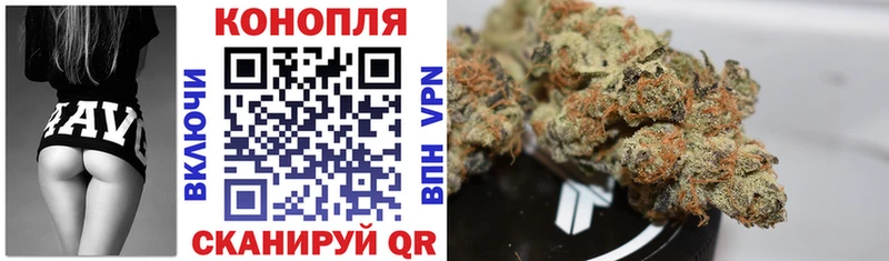Канабис OG Kush  Купить  Кудрово 